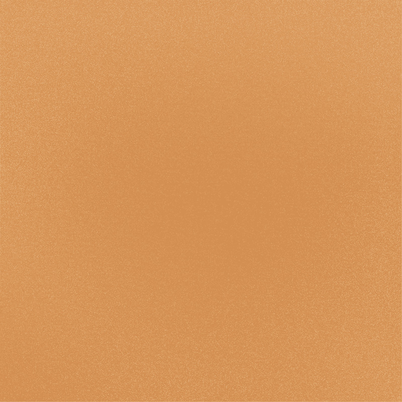 Metallic_010_Copper Penny.png