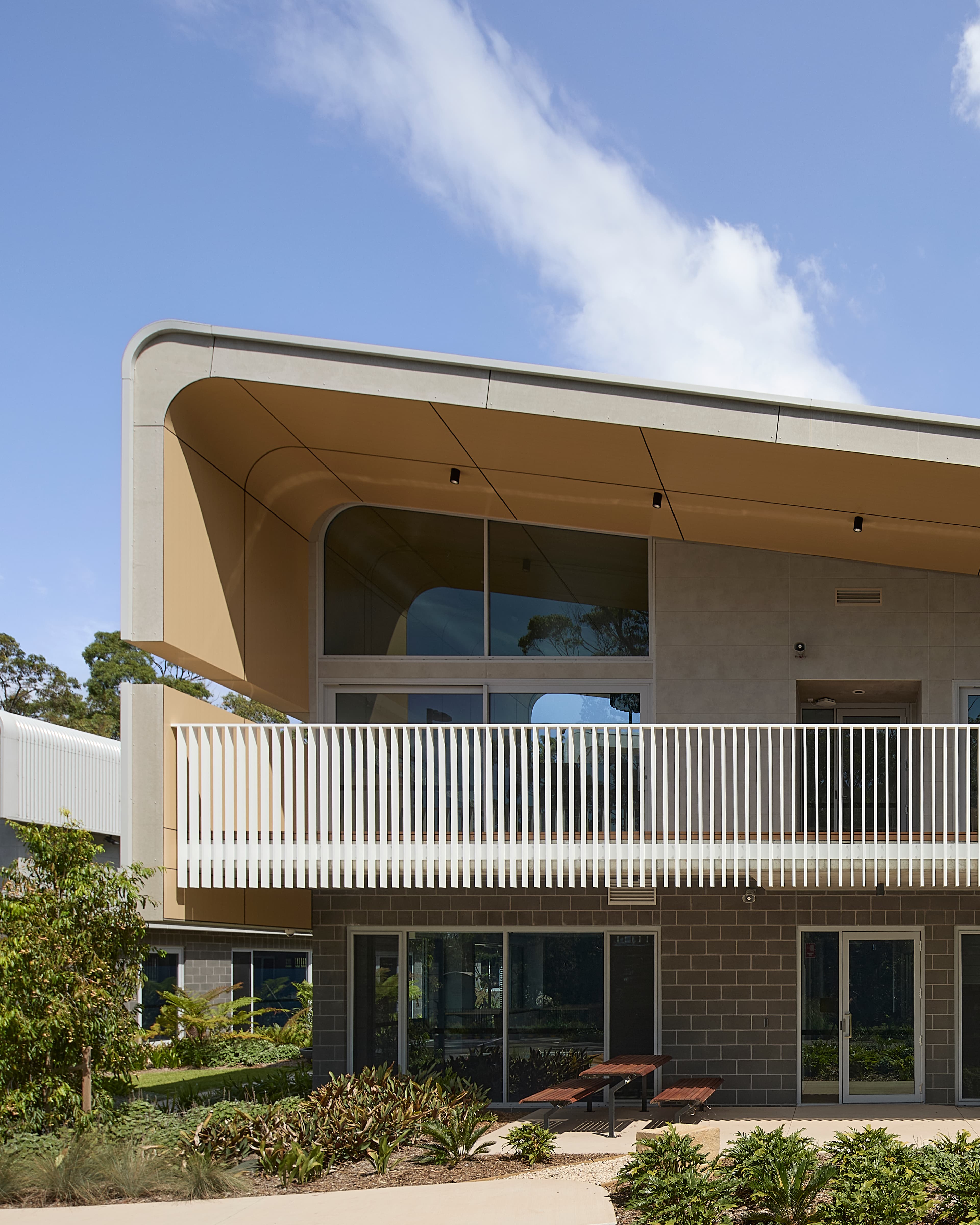 MondoClad_Blonde_Pine_EJE Architecture (2).jpg