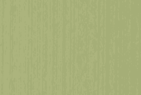 Vetérro-Groove-Green